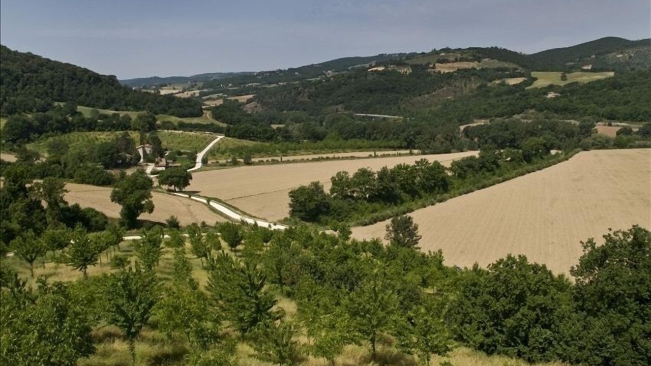 Photo of Others in Todi