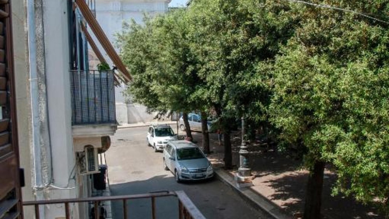 Photo of Outdoor in Mola di Bari