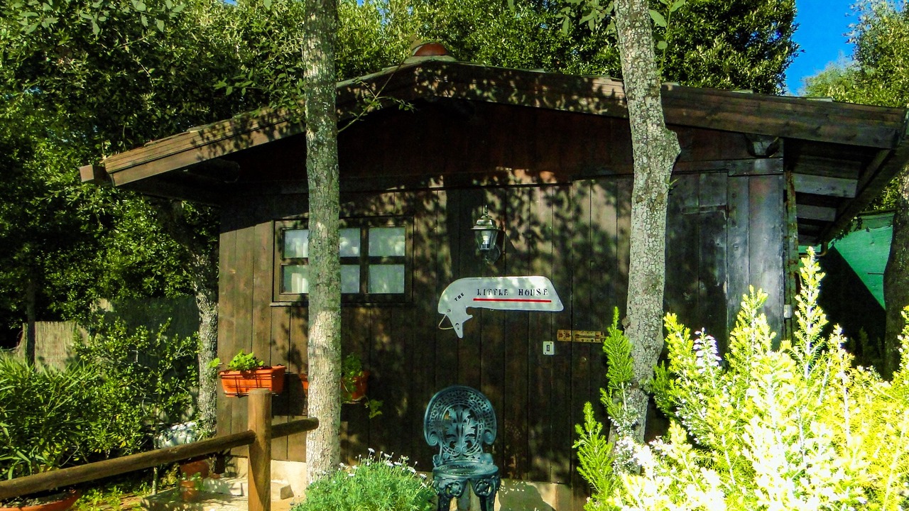 Photo of Bathroom in Ansedonia