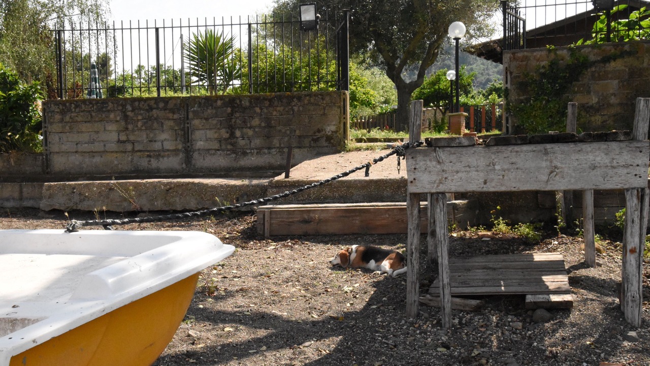 Photo of Outdoor in Lake Bracciano