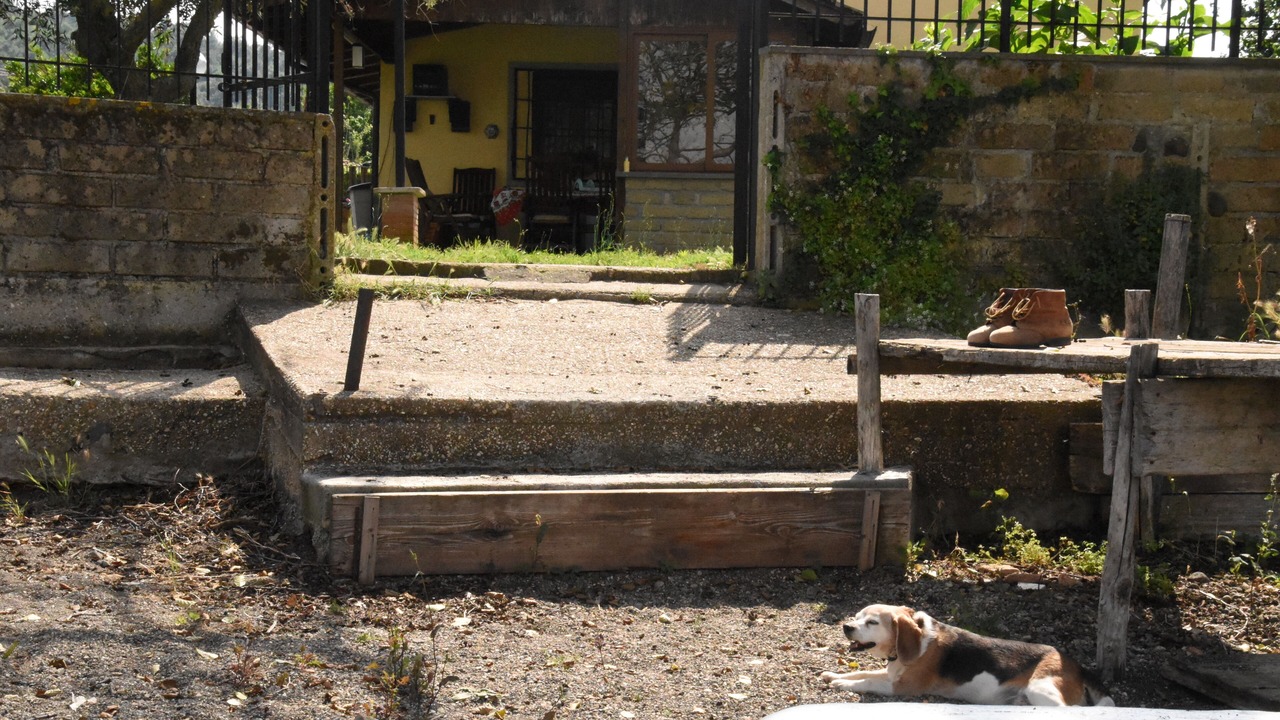 Photo of Outdoor in Lake Bracciano
