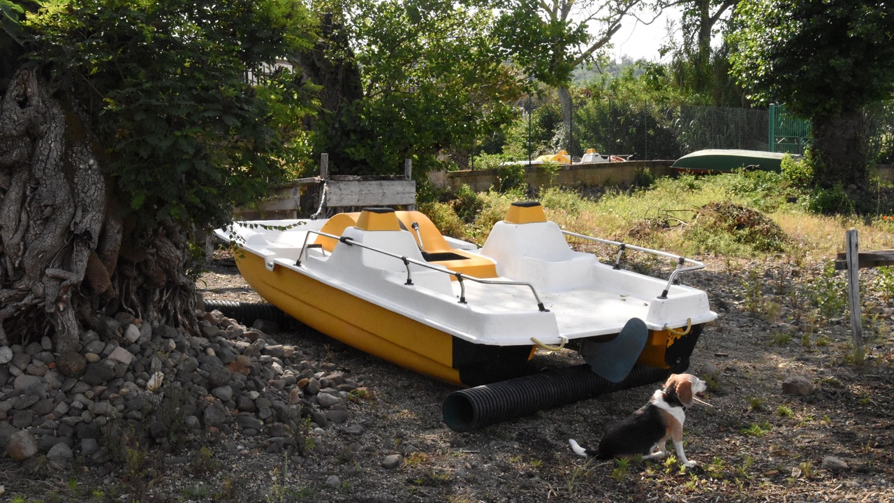 Photo of Outdoor in Lake Bracciano