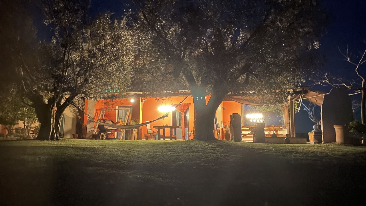 Photo of Outdoor in Canino