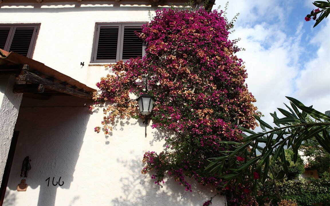Photo of Outdoor in Castellabate