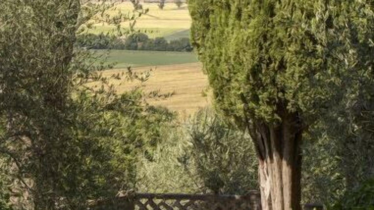 Photo of Others in Sovicille