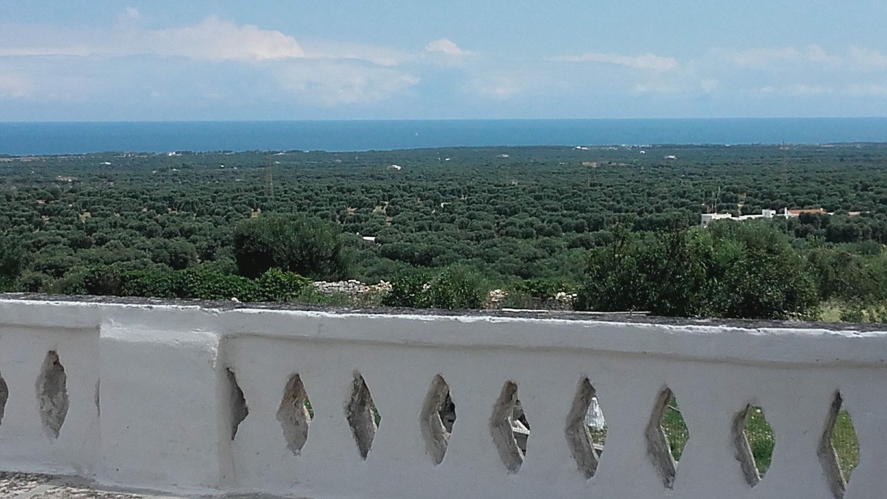 Photo of Others in Ostuni