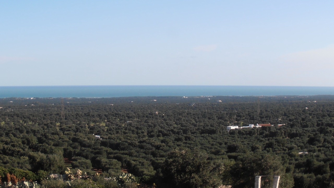 Photo of Others in Ostuni