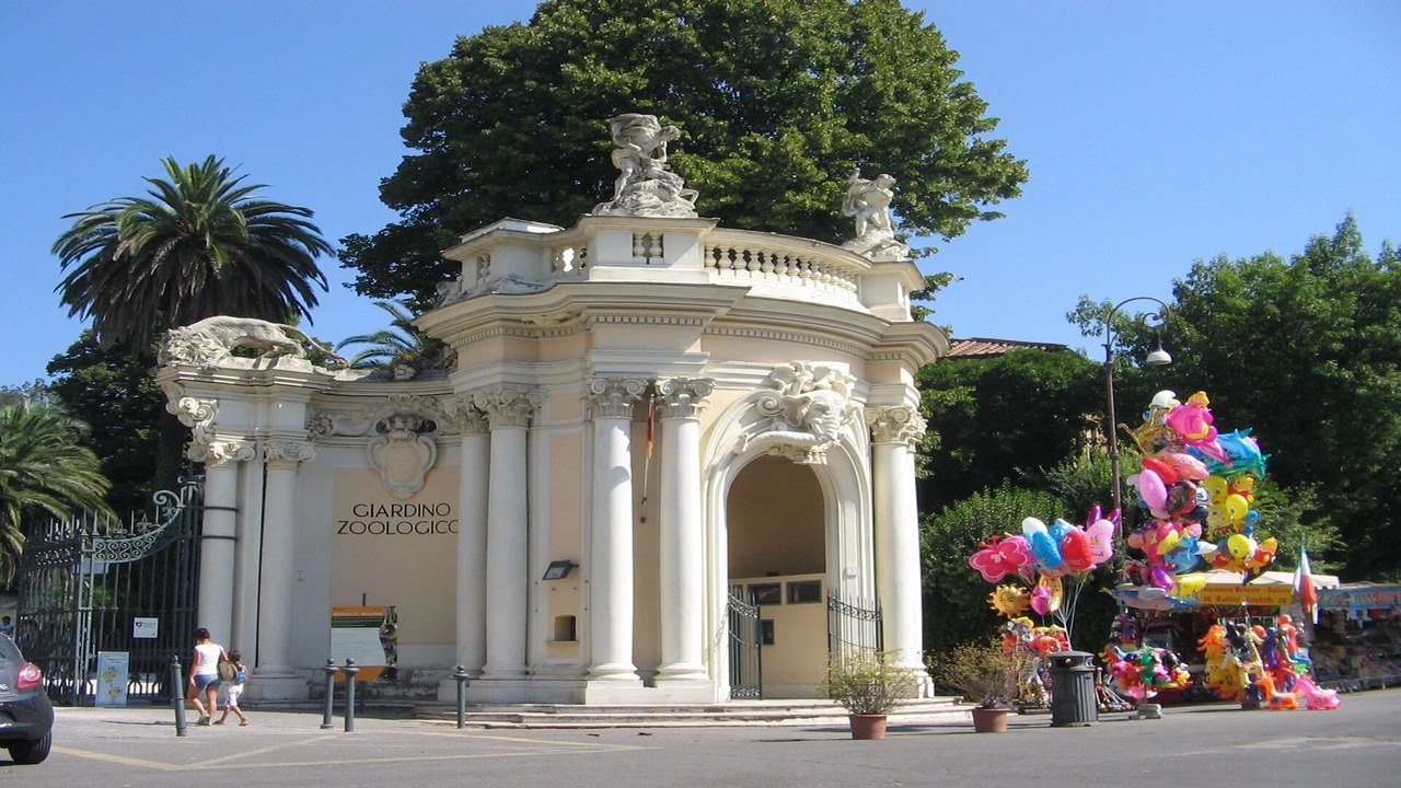 Photo of Others in Sallustiano
