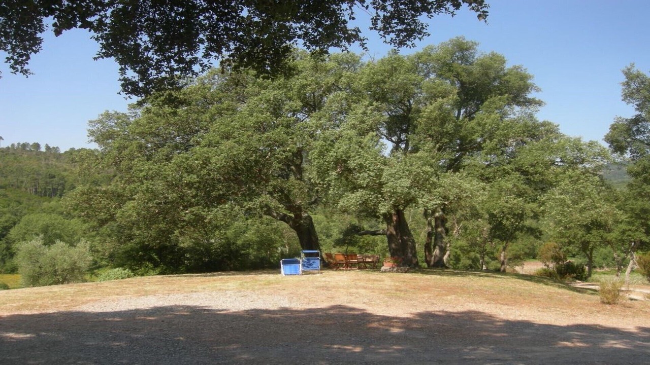 Photo of Outdoor in Roccastrada