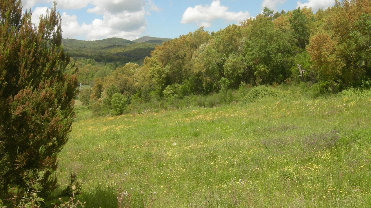 Photo of Outdoor in Roccastrada