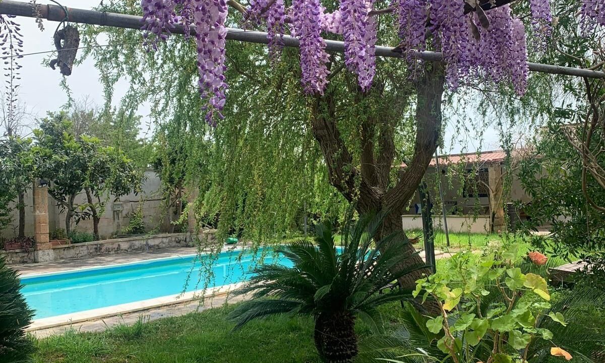 Photo of Outdoor in Copertino