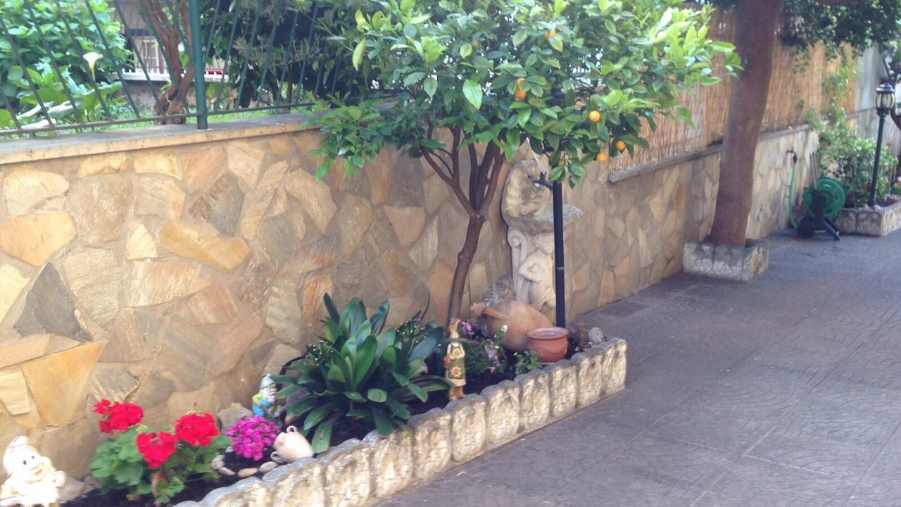 Photo of Outdoor in Prenestino-Centocelle