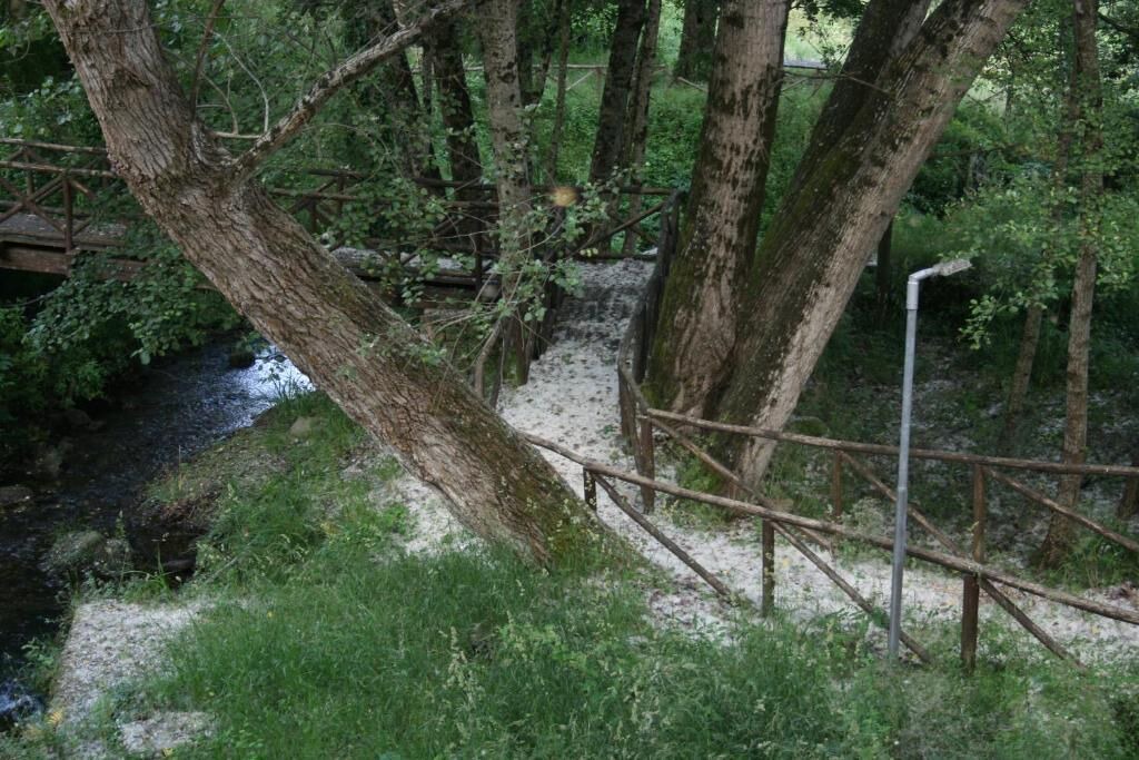 Photo of Outdoor in San Mauro La Bruca