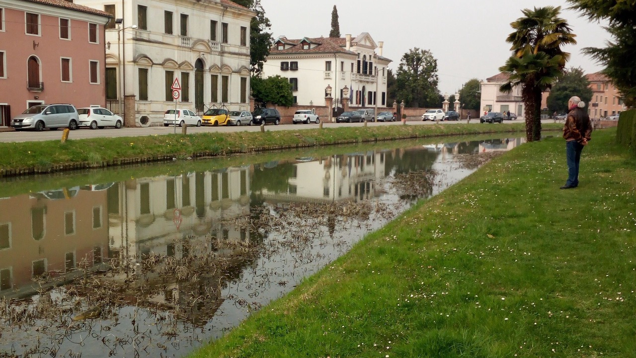 Photo of Others in Mira