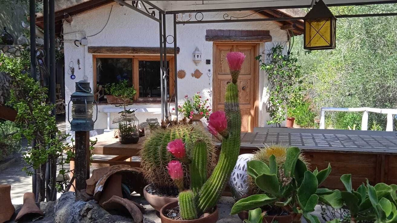 Photo of Patio Balcony in Porto Santo Stefano