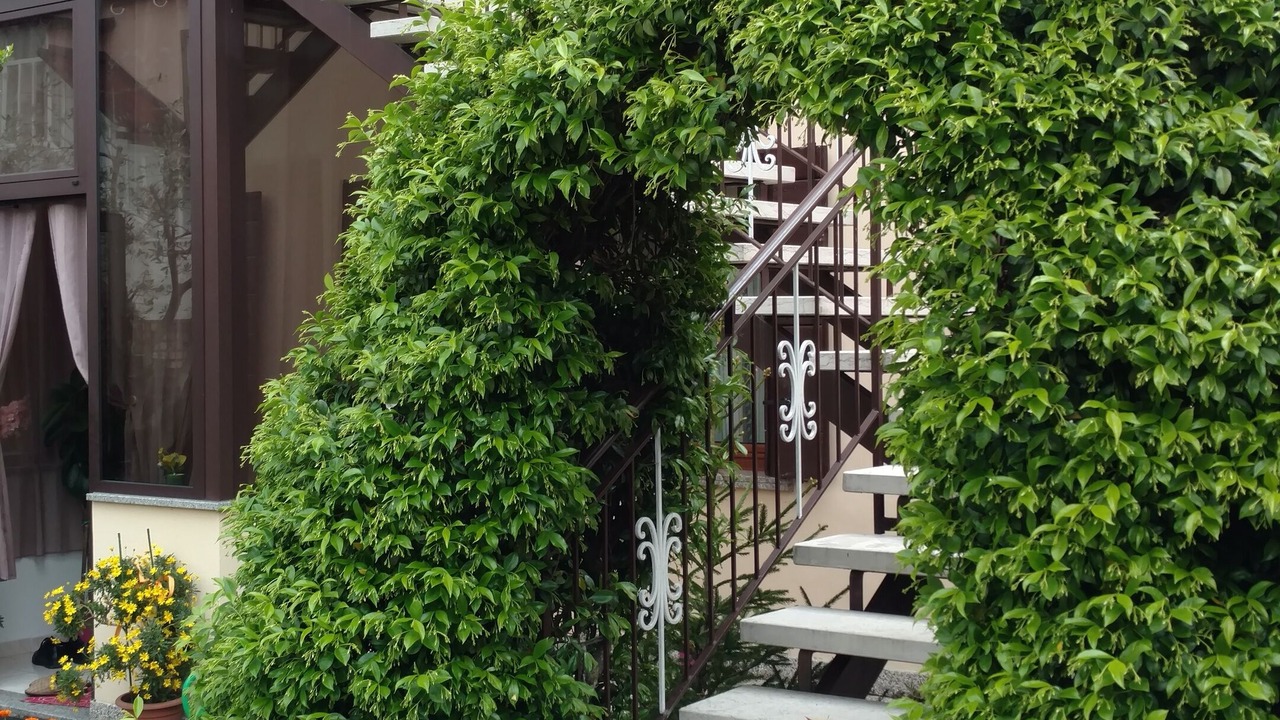 Photo of Outdoor in Carpenedo