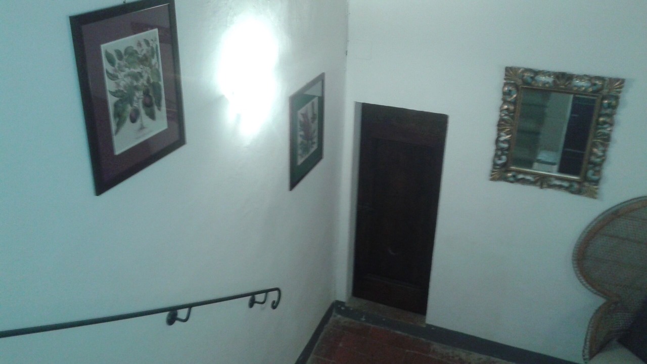 Photo of Others in Nugola