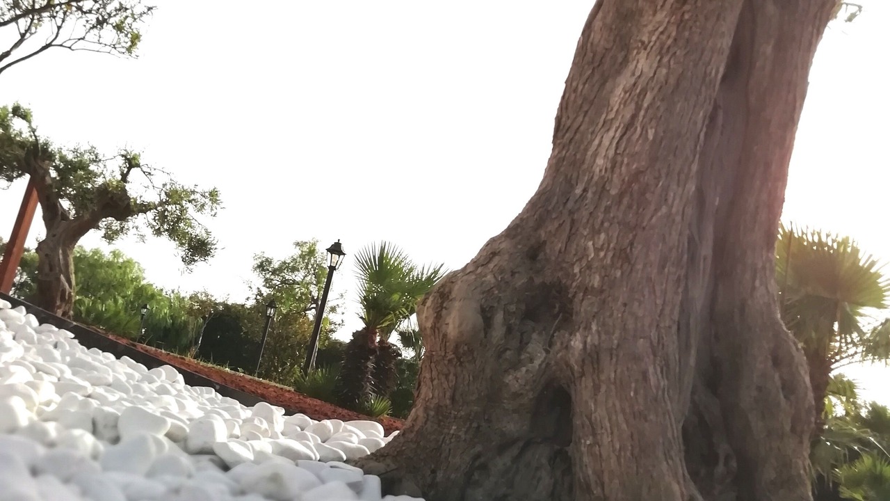 Photo of Outdoor in San Vito Lo Capo