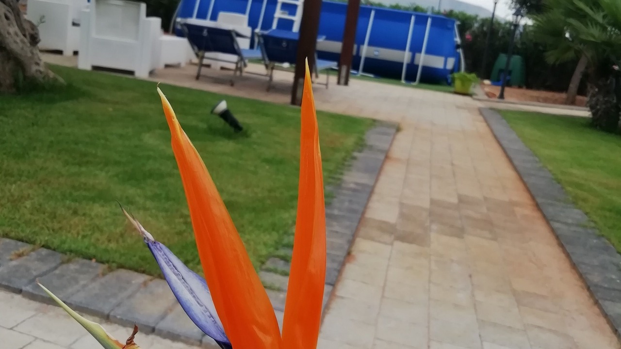 Photo of Outdoor in San Vito Lo Capo