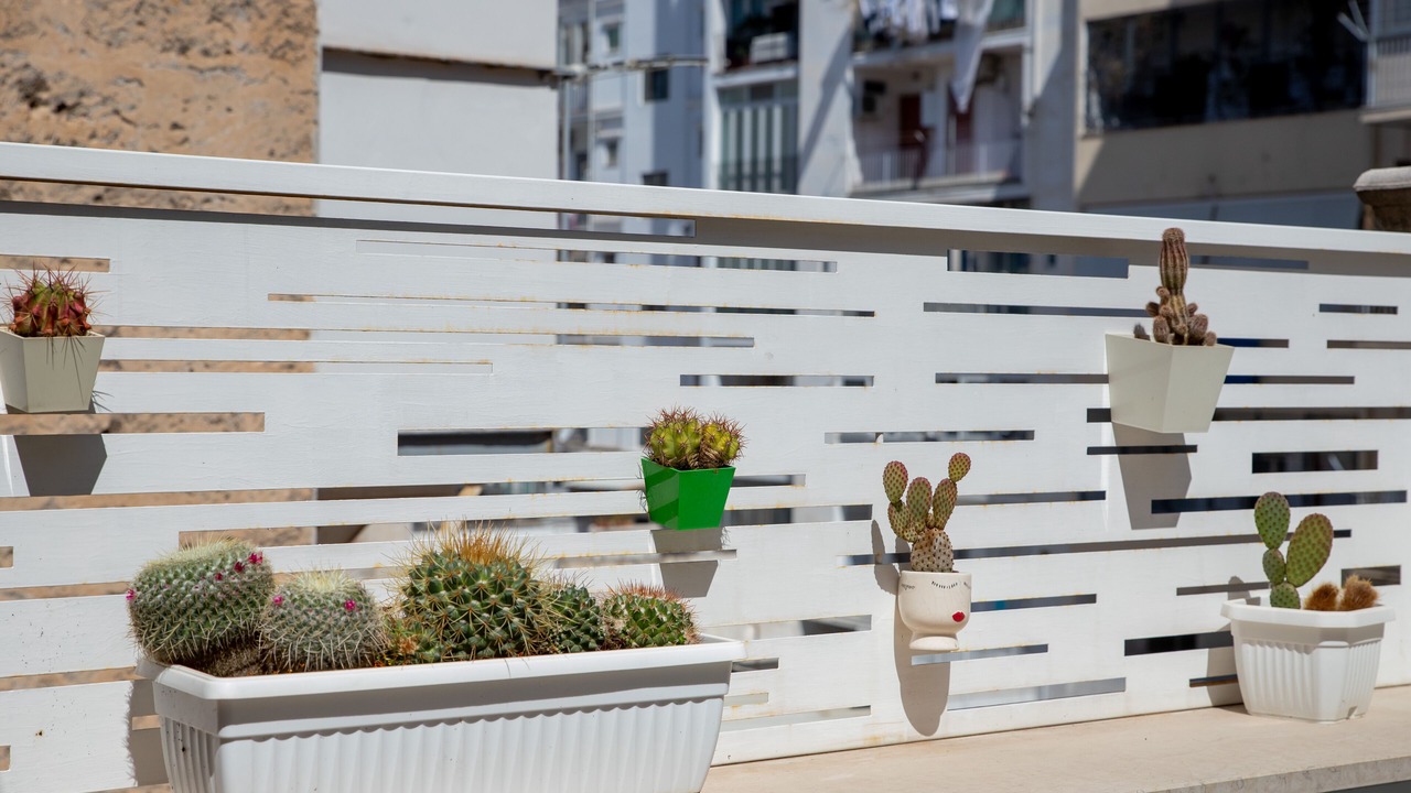 Photo of Outdoor in Municipio 1