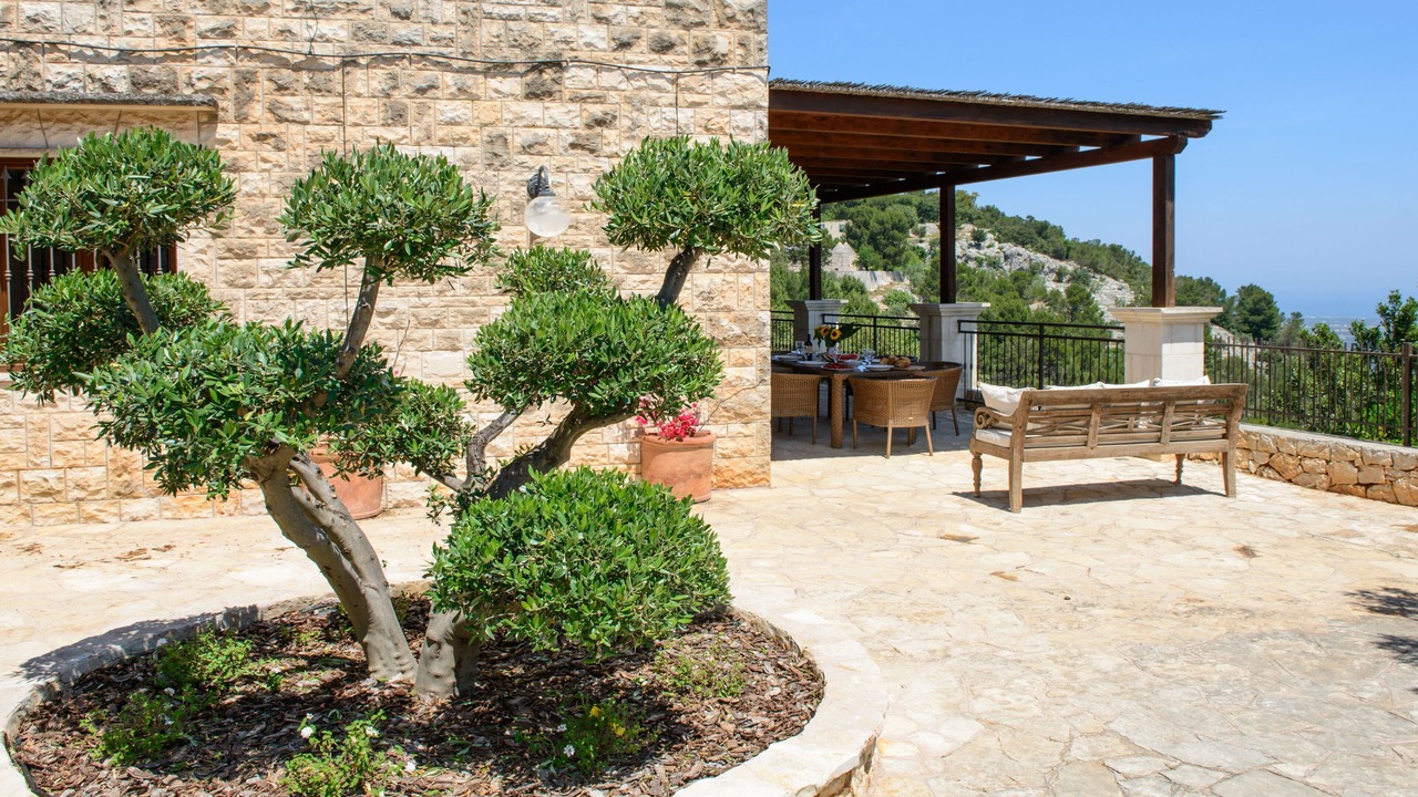 Photo of Outdoor in Fasano