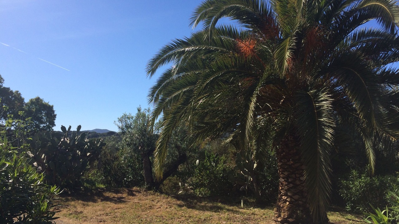 Photo of Outdoor in Naregno