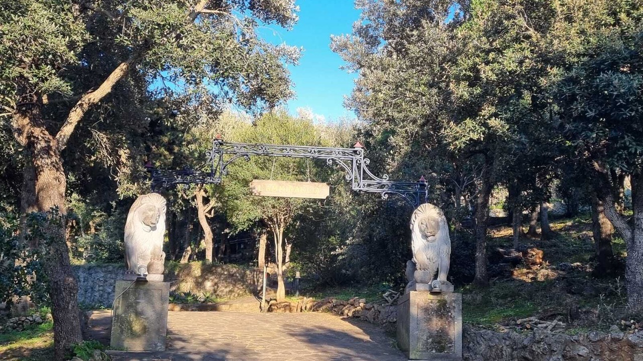Photo of Others in Ansedonia