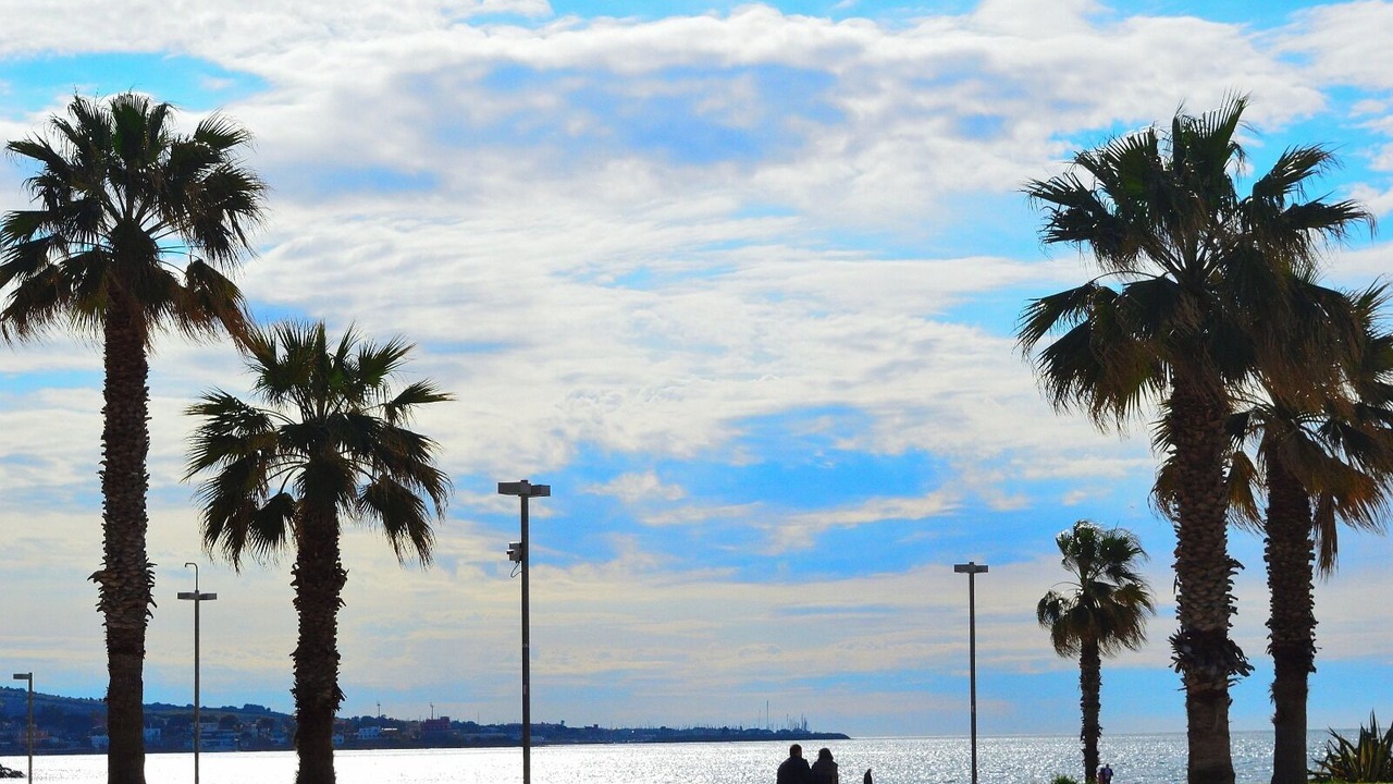 Photo of Others in Civitavecchia
