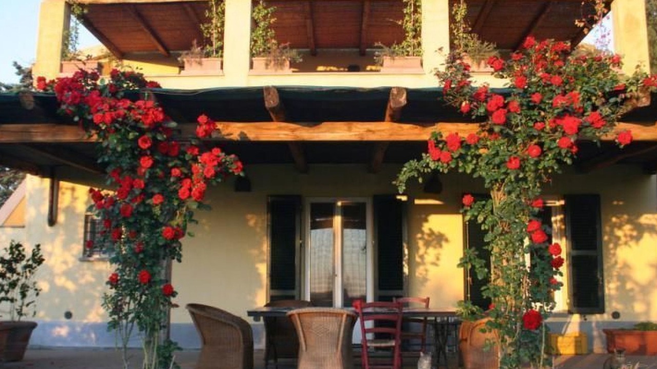 Photo of Outdoor in Manciano