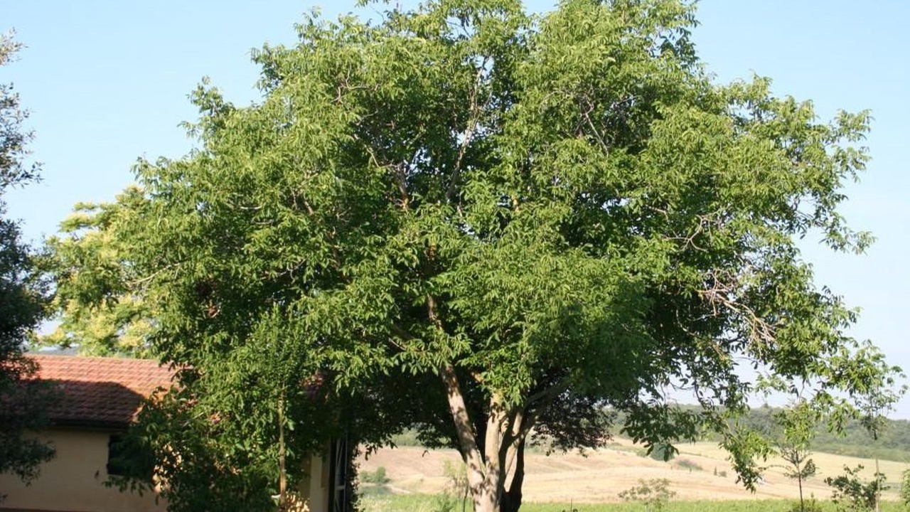 Photo of Outdoor in Manciano
