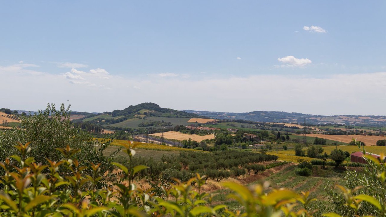 Photo of Others in Granarola