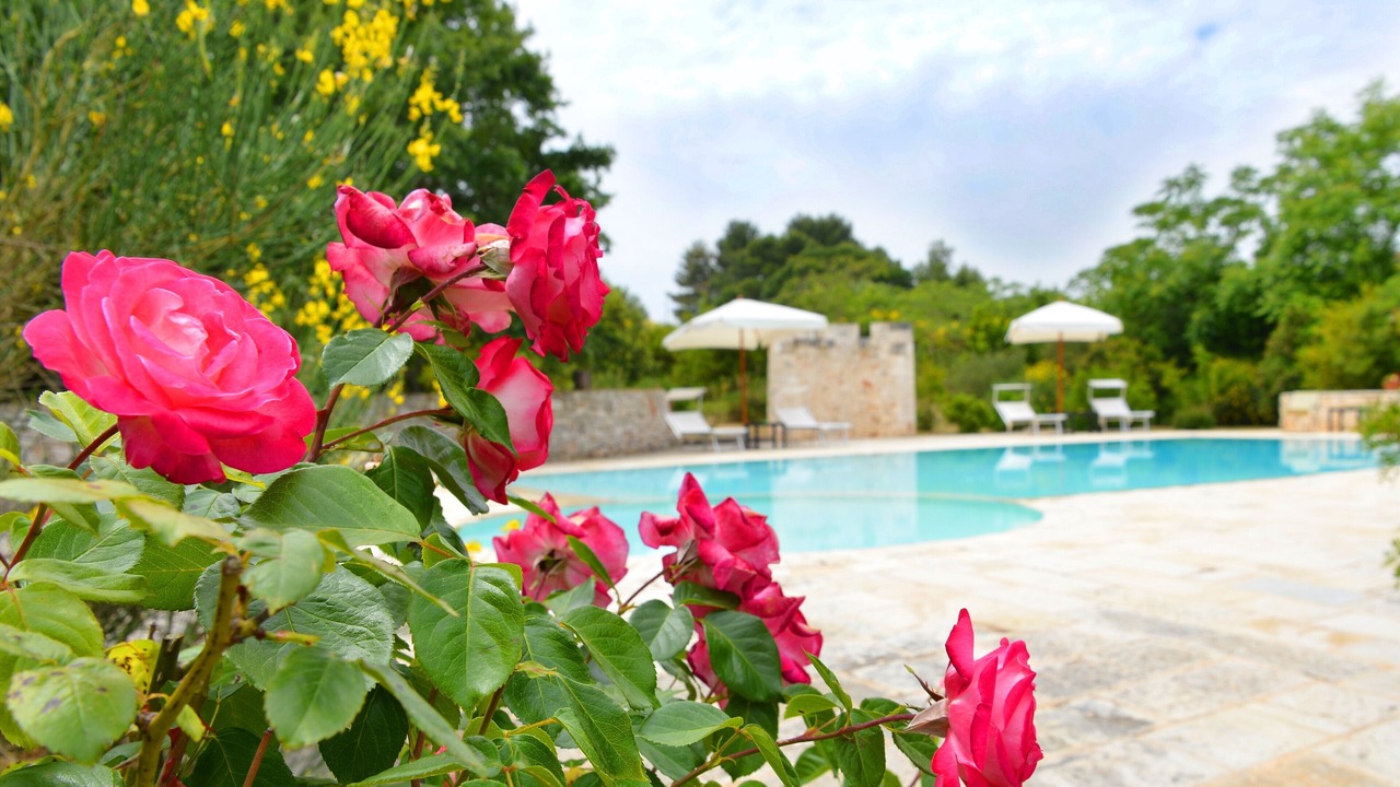 Photo of Outdoor in Specchiaruzzo