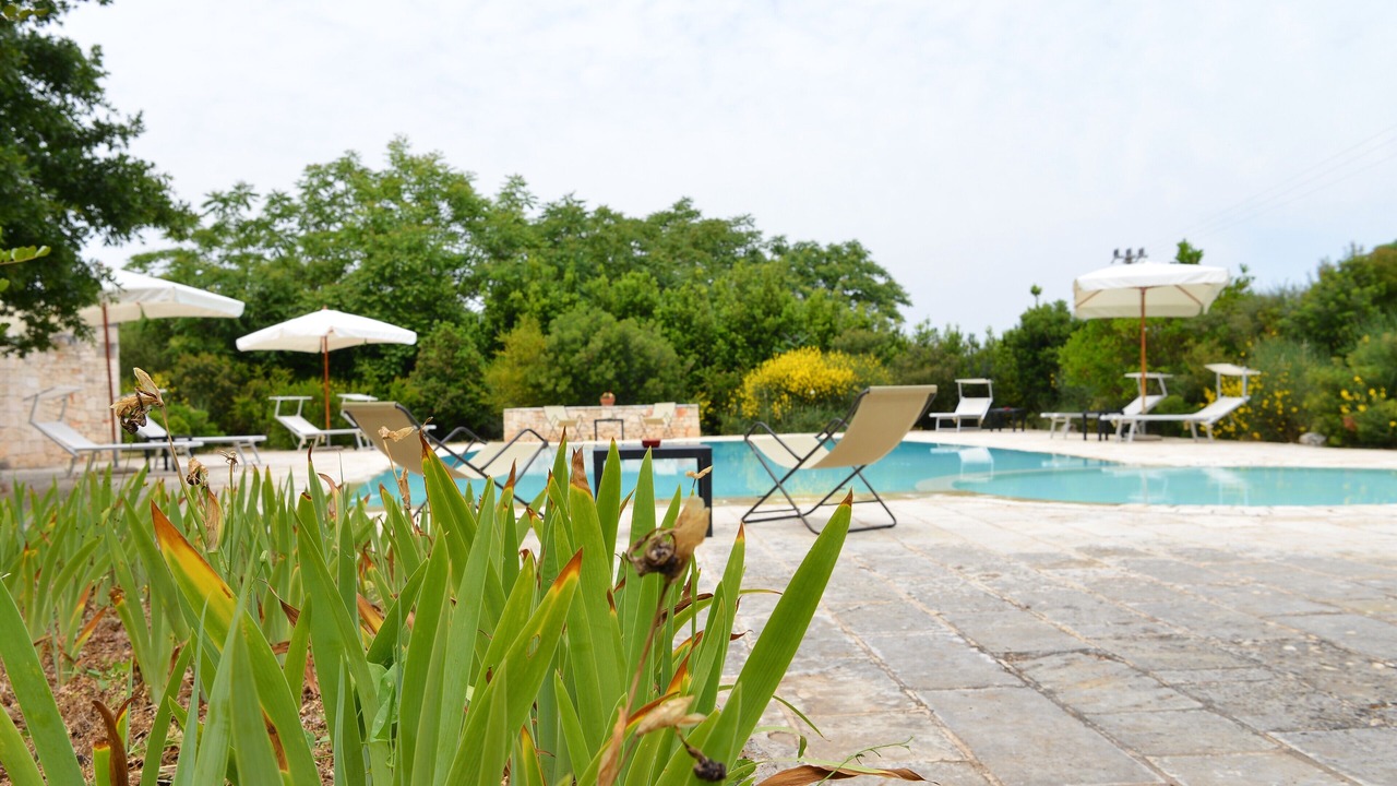 Photo of Outdoor in Specchiaruzzo