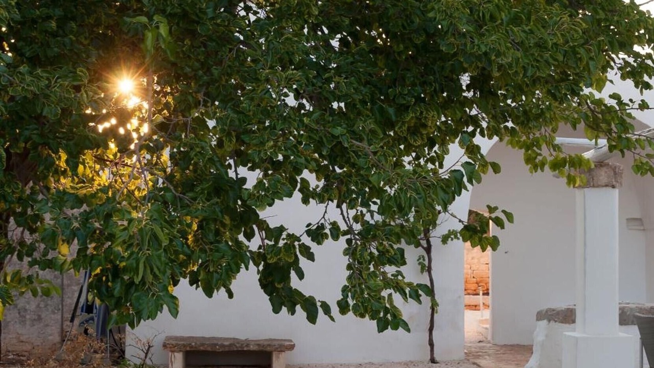 Photo of Outdoor in Polignano a Mare