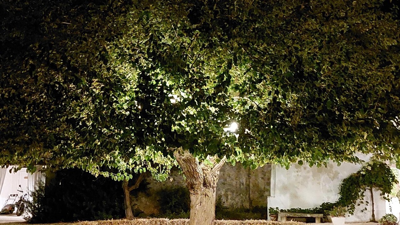 Photo of Outdoor in Polignano a Mare
