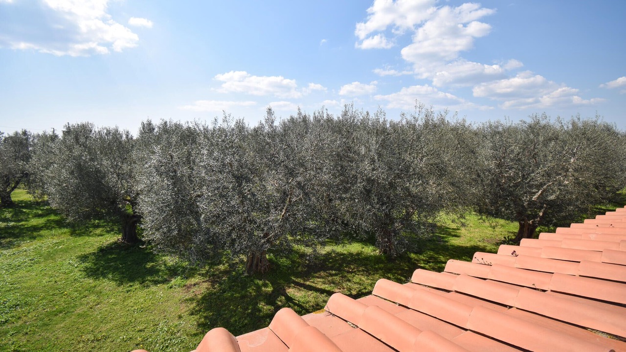 Photo of Bedroom in Pescia Romana