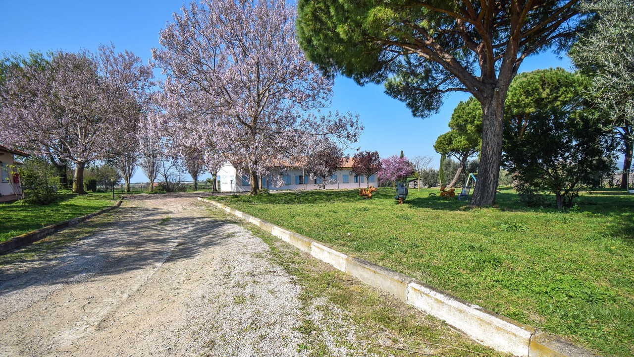 Photo of Others in Pescia Romana