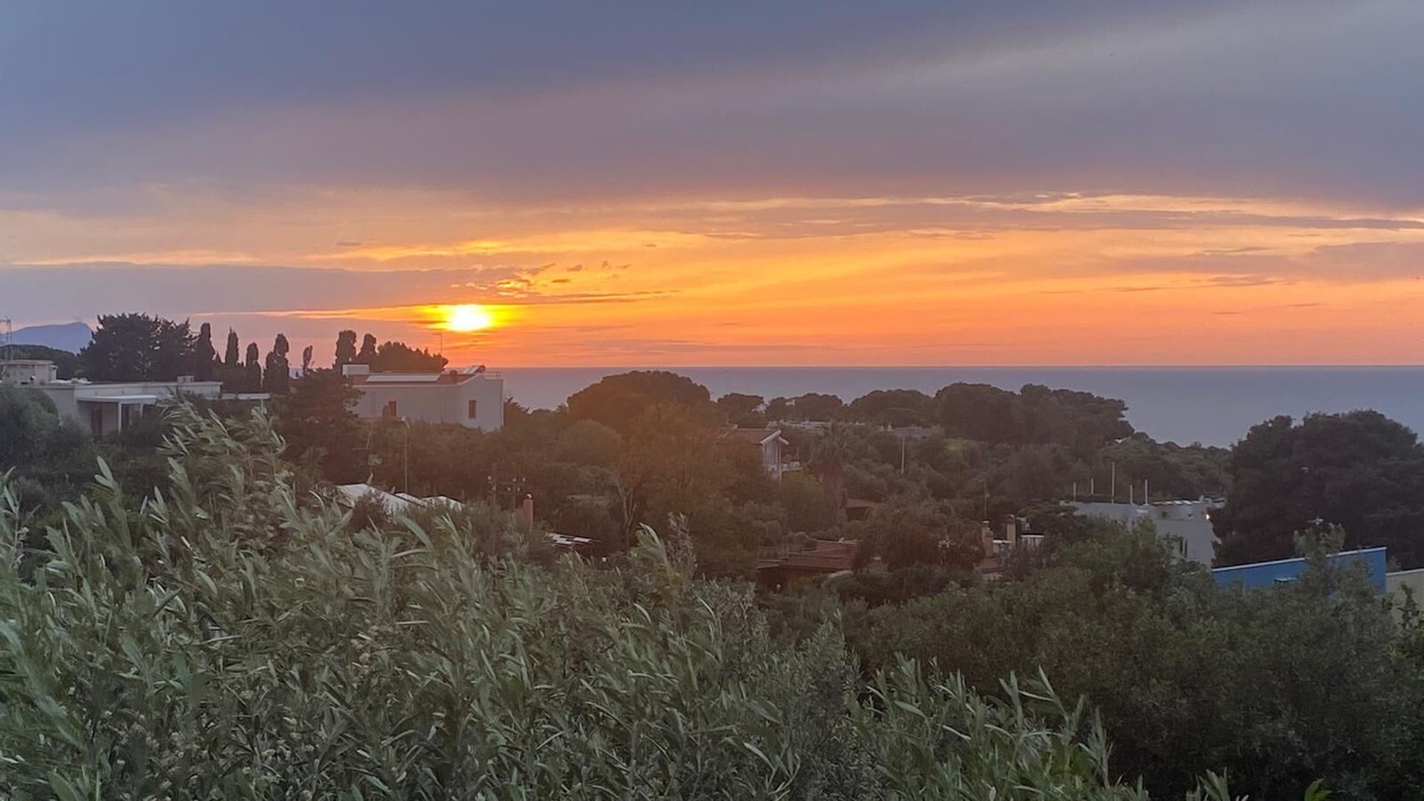 Photo of Others in Terrasini