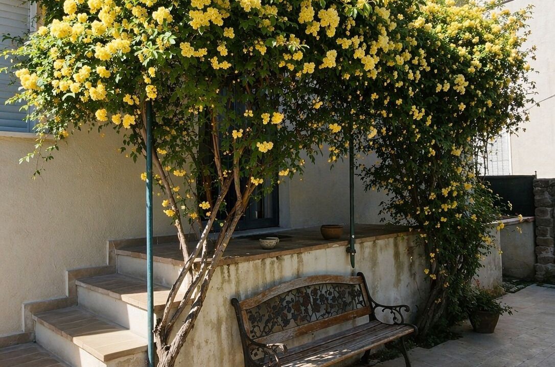 Photo of Patio Balcony in Tavernelle