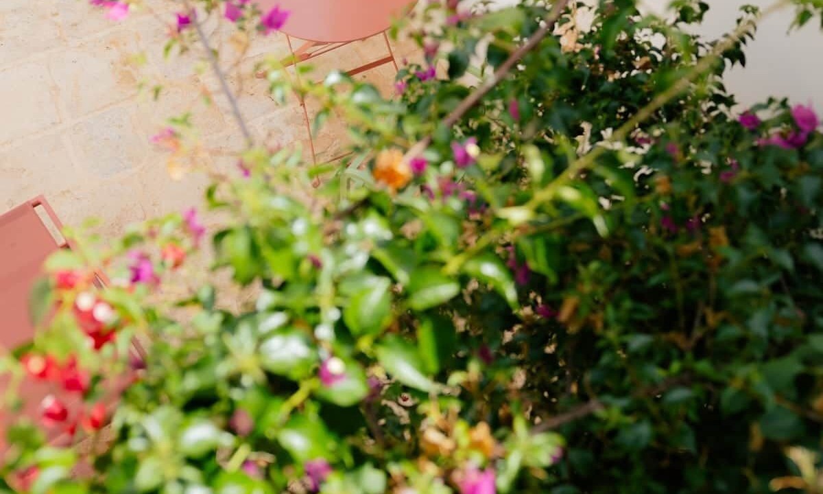 Photo of Outdoor in Alberobello