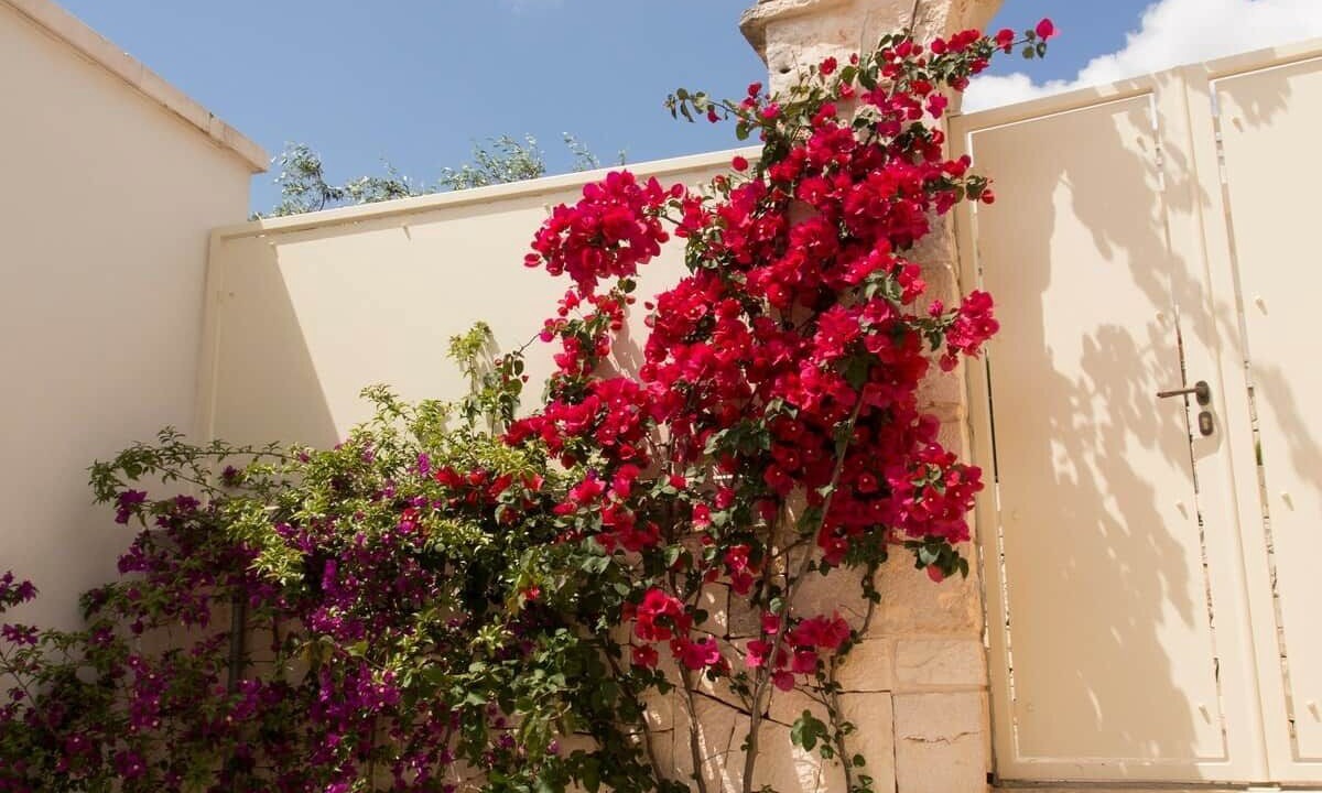 Photo of Outdoor in Alberobello