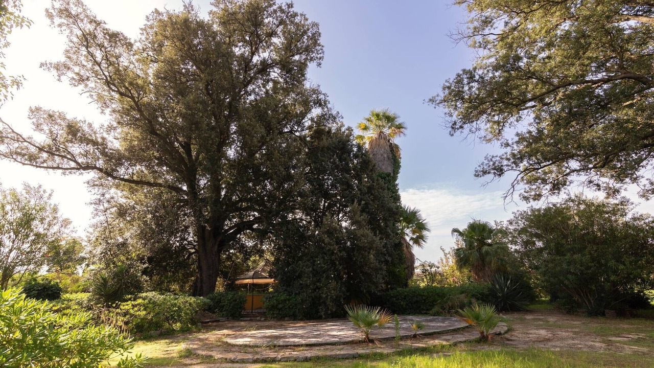 Photo of Outdoor in Porticalazzo
