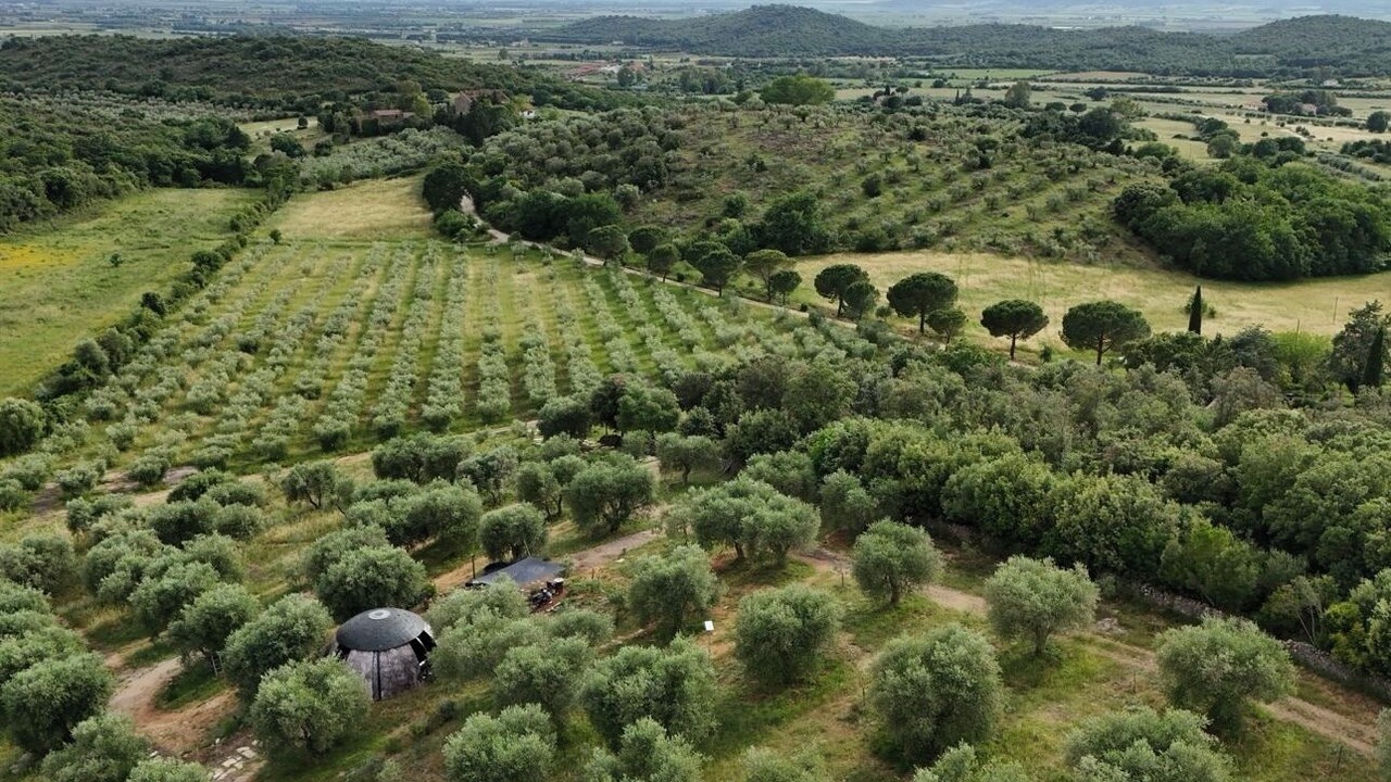 Photo of Outdoor in Montorsaio