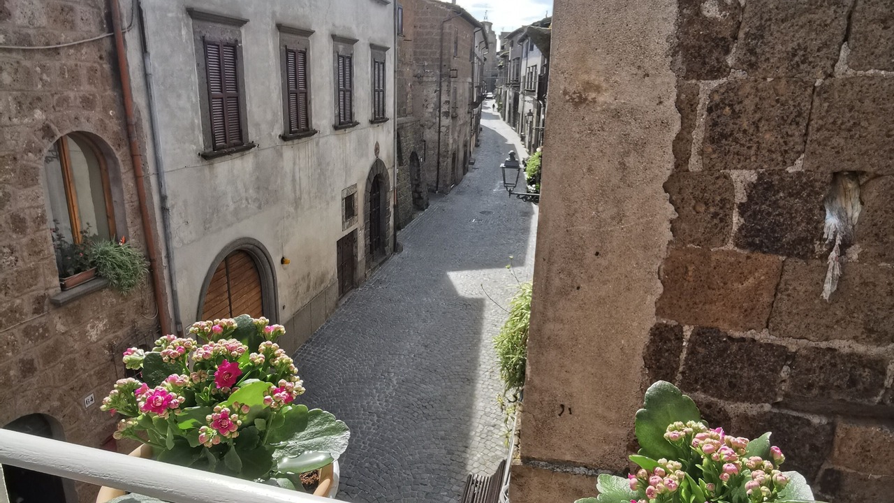 Photo of Outdoor in Barbarano Romano
