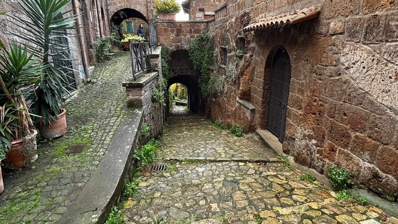 Photo of Outdoor in Barbarano Romano