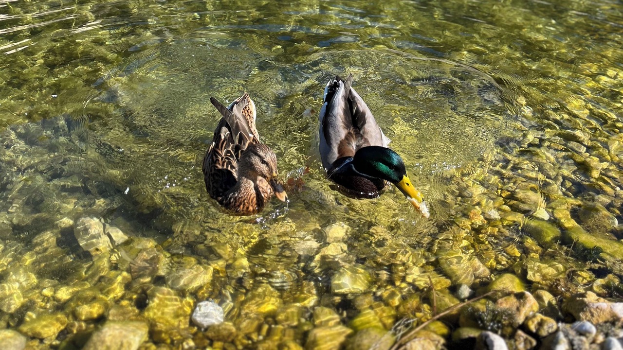 Photo of Others in Scanno
