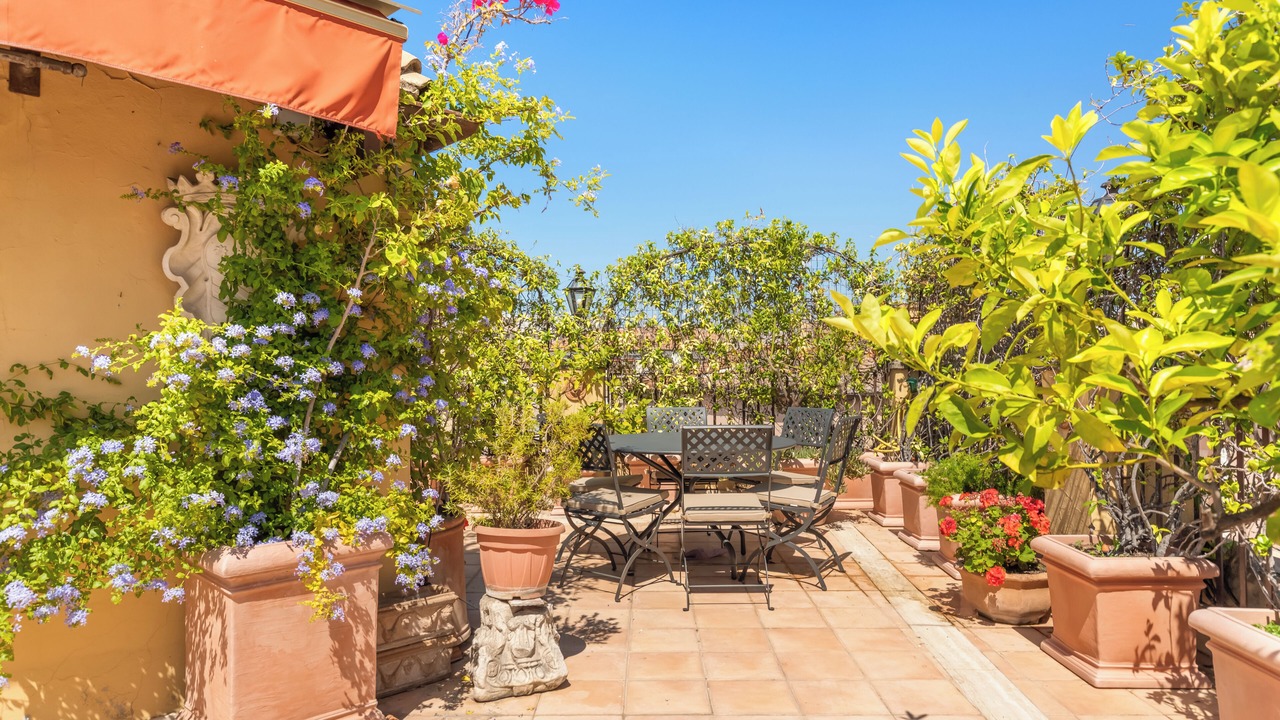 Photo of Outdoor in Rione VIII Sant'Eustachio