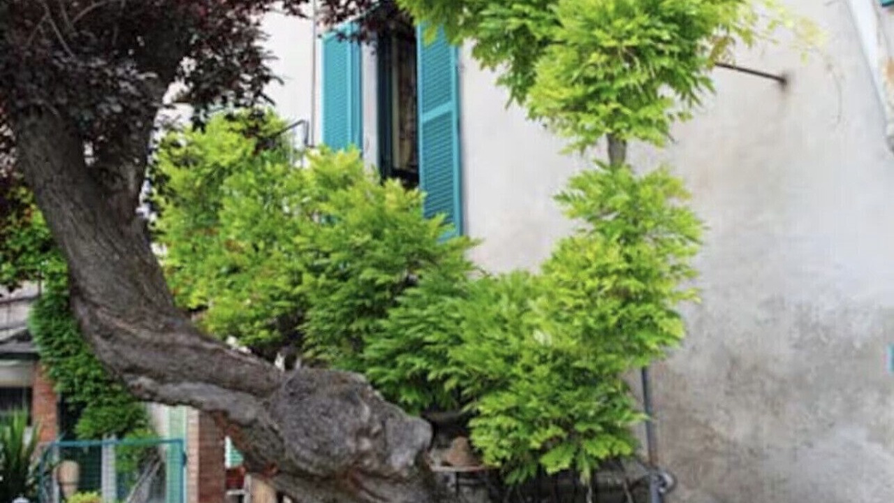 Photo of Outdoor in Bolsena