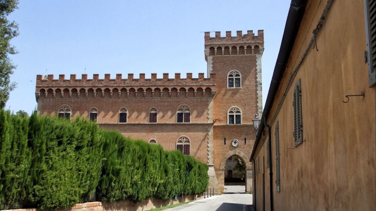 Photo of Others in Bolgheri I