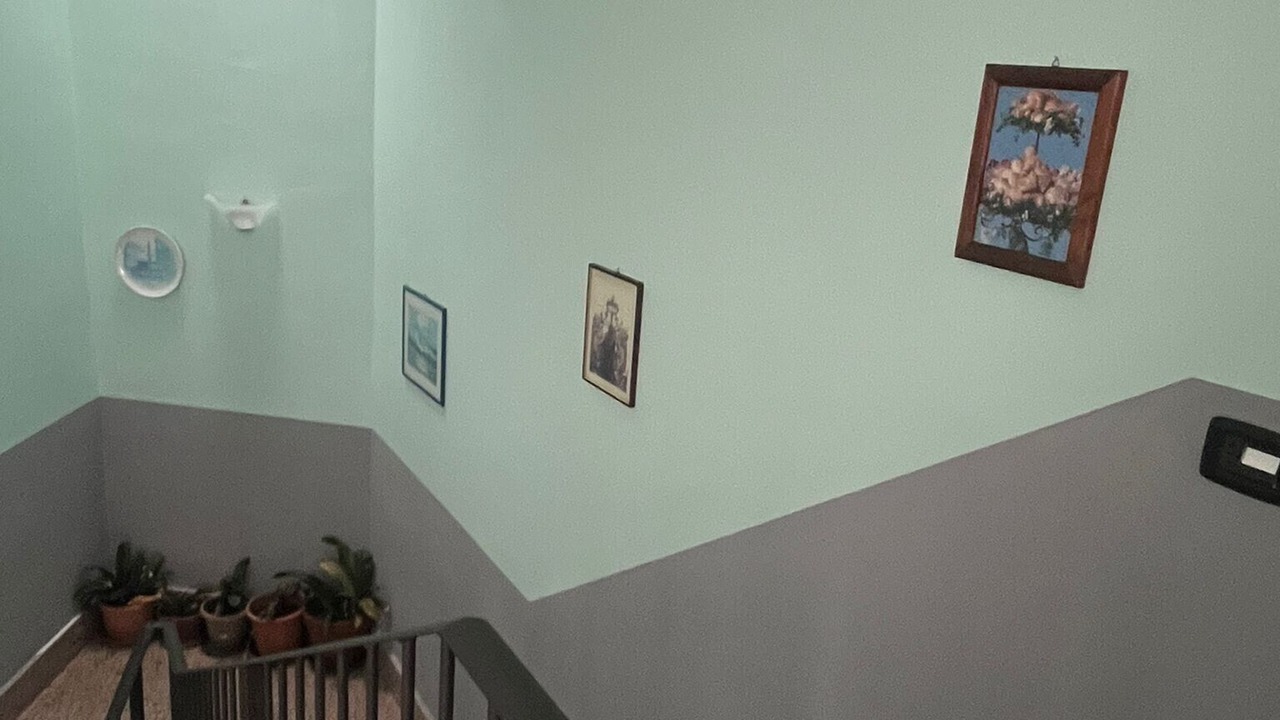 Photo of Others in Vetralla